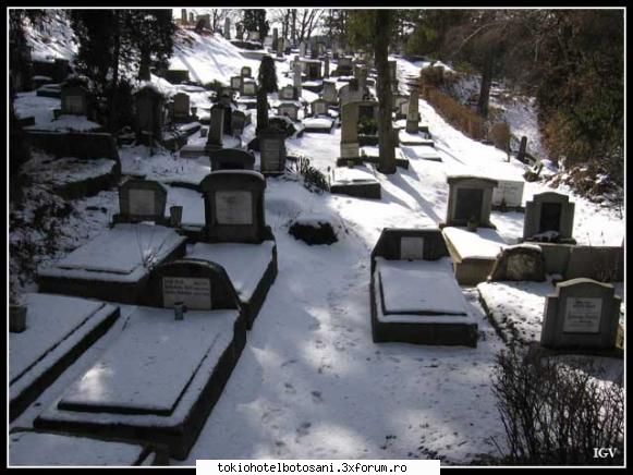 speranta moare norocul [img]