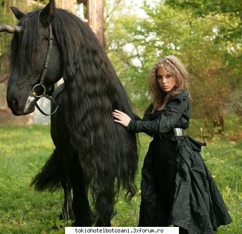 lafee chair mie imi plac mel