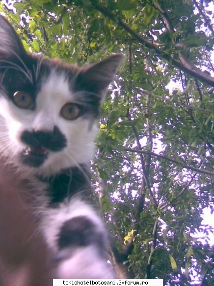 photos with matza sexoasa Admin:)