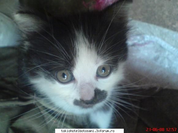 photos with futogenic &nbsp; Admin:)