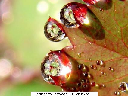 just pain deci incerc dar alt fic.... asta l-am terminat vara, bla bla,bla�. totul frumos �&nbsp;