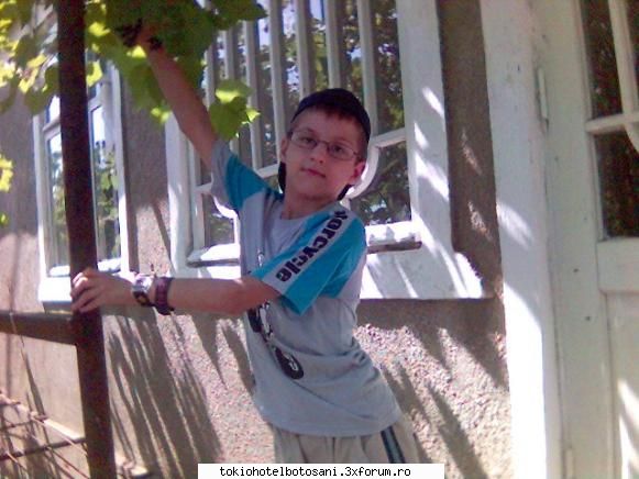 ala care strange struguri