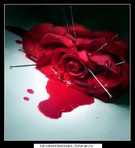 heart...is broken fetele, comm-uri next maresi merge spre camera lui tom.la usa pregateste ...doar