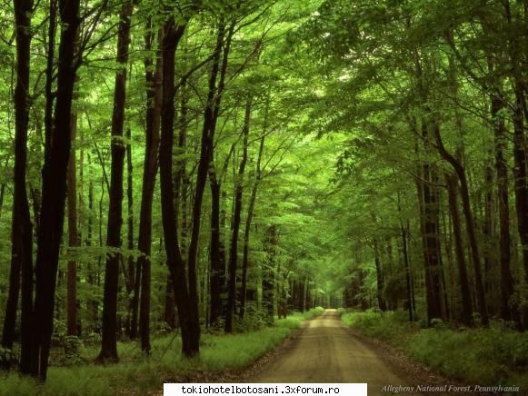 joc poze poze seamana nelly chiar ea?]9.50