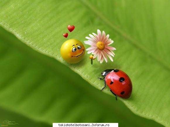 joc poze poze 9,50 prima data credeam s-a vopsit bill: