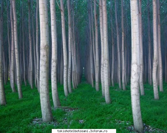 joc poze poze 10ce naiba facea tom zici din semnatura mea &nbsp;