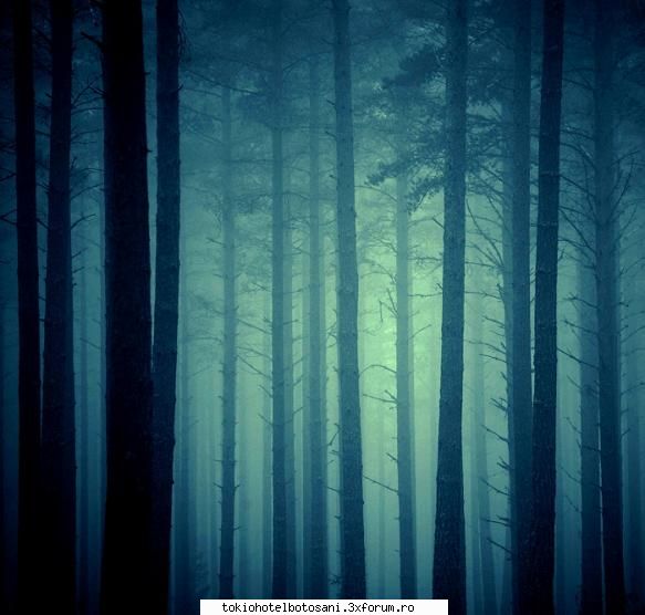 joc poze poze scuze poza aia mai fost