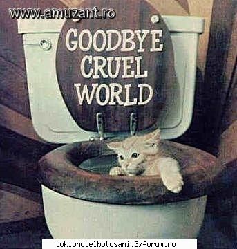 joc poze poze foarte frumooasa fata!