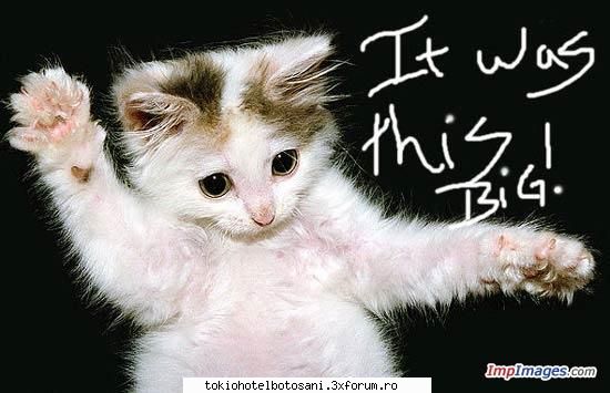 joc poze poze 10:xsi avut: