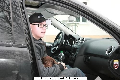 poze gusty deci inceput sa-l apreciez foarte mult gustav atunci cand vazut aceste poze iubesc