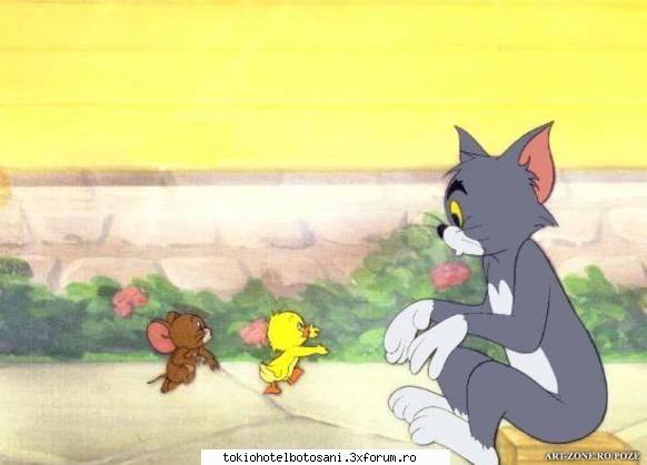 adol desenele animathe k tom si jerry

iar preferathu mew este singurul episod de desene animate la