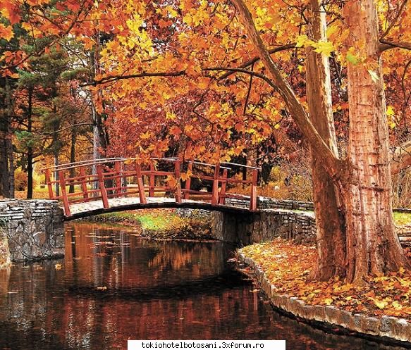 vise... uhu vis andu dar aseara avut vis... deci eram tom intr-un parc poteca traversa rau sarutam