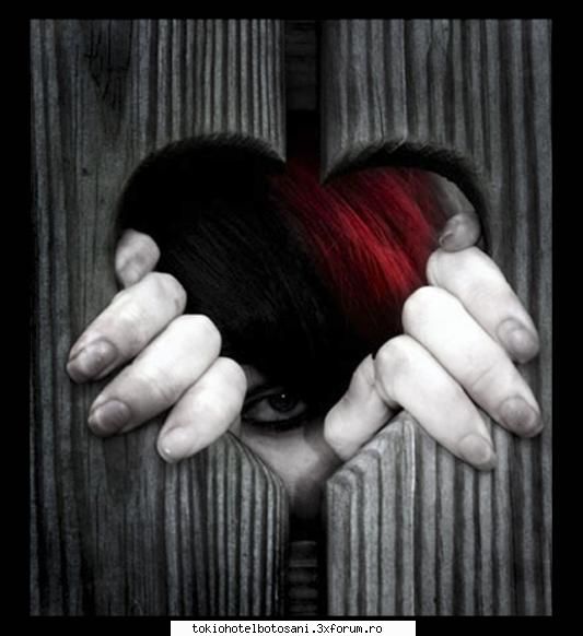 joc poze poze vad paici prea nimeni iti dau imi place