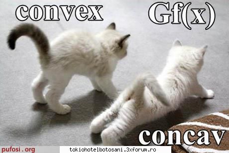 cazul cand vine nextul??nu mai pot astept!