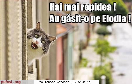 joc poze poze ops, uitat poza