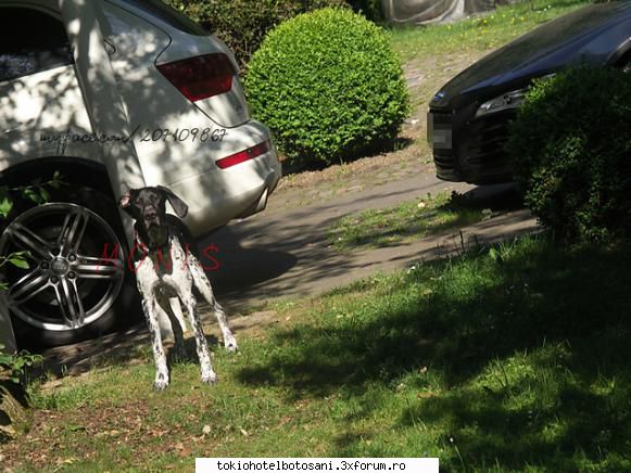 sfarsit pentru nou inceput