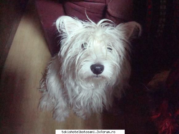 hot not. hot[tu ceva pozele mine,