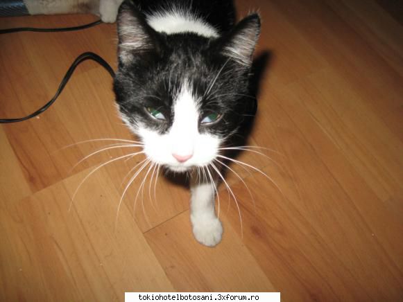 alice [b]viata prea scurta deci trebuie dormnim putinul timp care-l avem[asta spun pana adorm capul