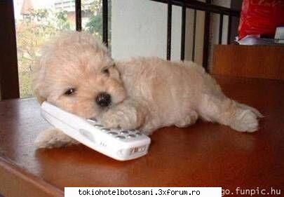 what the fuck! bill blond! =))) cand vazut zis este elunde bil cel vechi?in unele poze sta blond dar