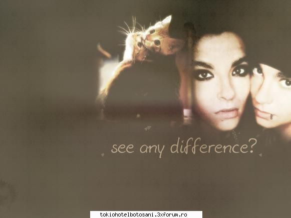 wallpaper &nbsp; &nbsp; maaai trebuia intrebi iar tre grav cand incep rad eu&nbsp;