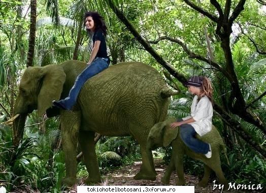 desene still manga::va plac?:xsi numai:x &nbsp; &nbsp; &nbsp; &nbsp; &nbsp; &nbsp; &nbsp; &nbsp;