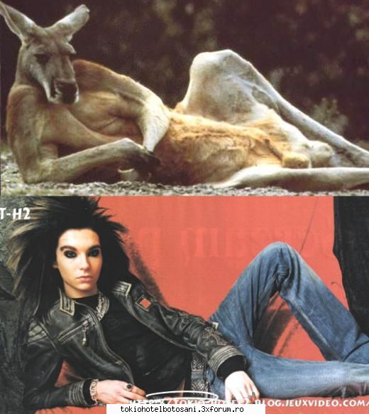 poze comment Admin:)