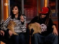 Ce fac baietii cand se relaxeaza???? - se joaca cu leii mai putin tomy care ii cam scapa - Tokio Hotel