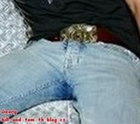 Interzis... - th4ever - Tokio Hotel