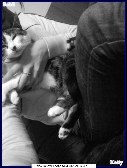 Kitty - Imagini cu Katty 1 - Haideti sa ne cunoastem!