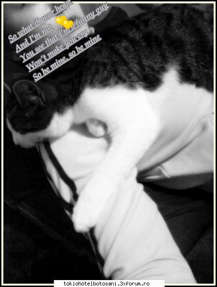 Kitty - ^cocolinho^ - Haideti sa ne cunoastem!