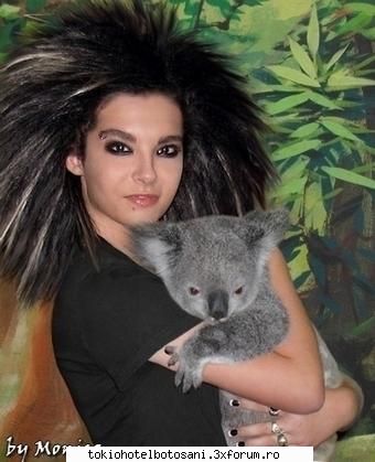 Poze cu Bill+comenatrii - bill i asa ca e dragutzzz? koala' ma jos mi am - Poze