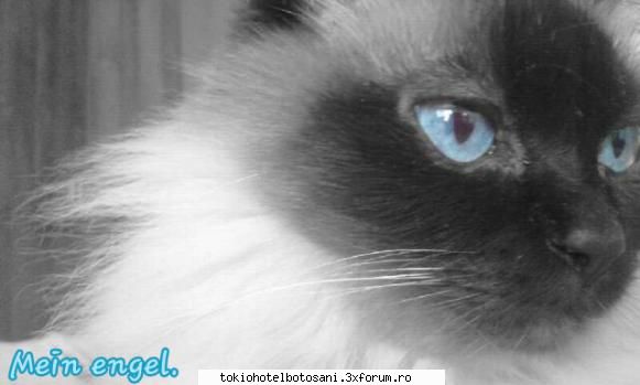 hey! - kat2108 - Haideti sa ne cunoastem!